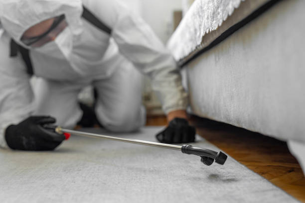 Professional Termite Control technician working in Rensselaer, NY