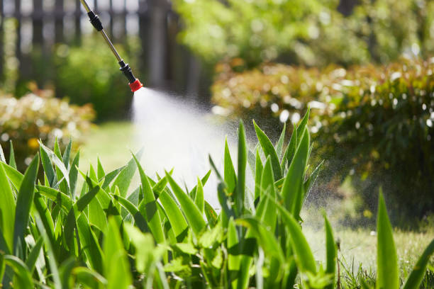 24/7 Emergency Termite Control experts in Rensselaer, NY