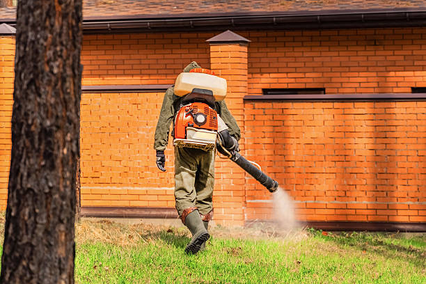 Trusted Ant Control service in Rensselaer, NY - Nex Pest Control